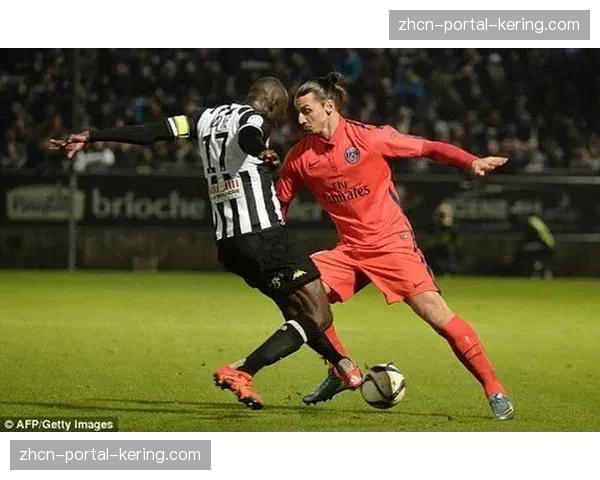 为应对极端天气,法甲联盟计划评估各球场排水系统升级方案 为应对极端天气,法甲联盟计划评估各球场排水系统升级方案